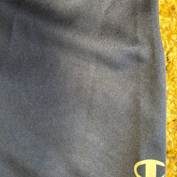 Pittsburgh Panthers Champion Moisture Wicking T Shirt - Size M - 1612 (MISC) - Picture 4 of 5